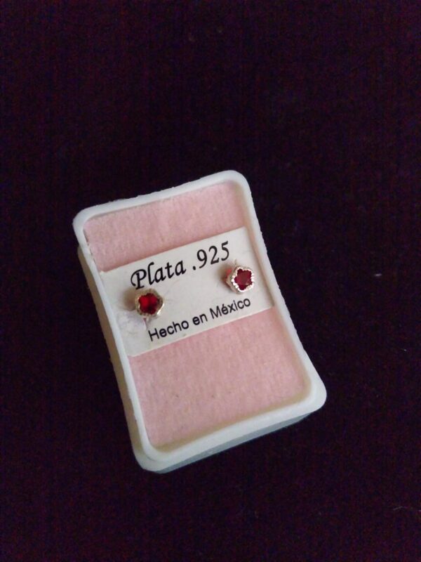 Broquel flor biselado plata .925