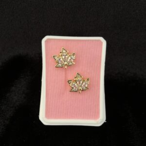 Broquel reforzado oro laminado