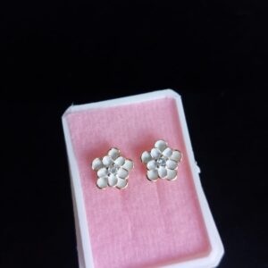 Broquel reforzado oro laminado