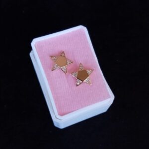 Arete poste mariposa oro laminado