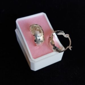 Arracada gruesa plata .925