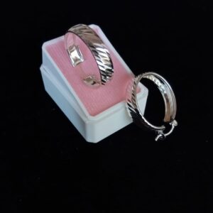 Arracada gruesa plata .925