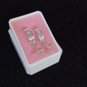Arracada huggis plata .925