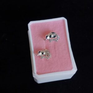 Arete poste mariposa plata .925