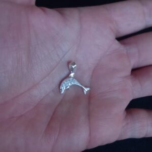 Dije solo plata .925