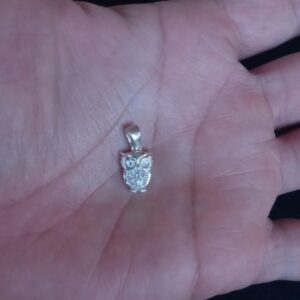 Dije solo plata .925