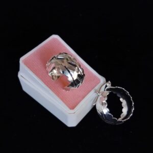 Arracada gruesa plata .925