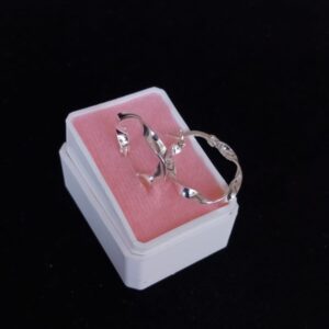 Arracada gruesa plata .925