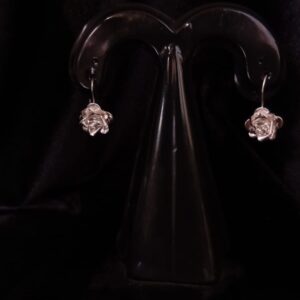 Arete largo plata .925