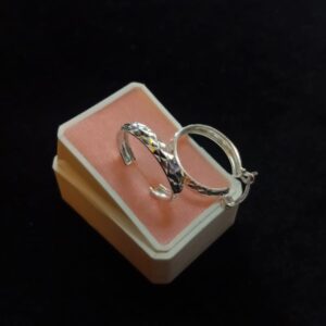 Arracada gruesa plata .925