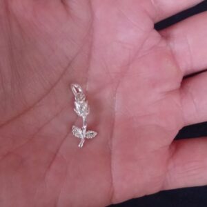 Dije solo plata .925