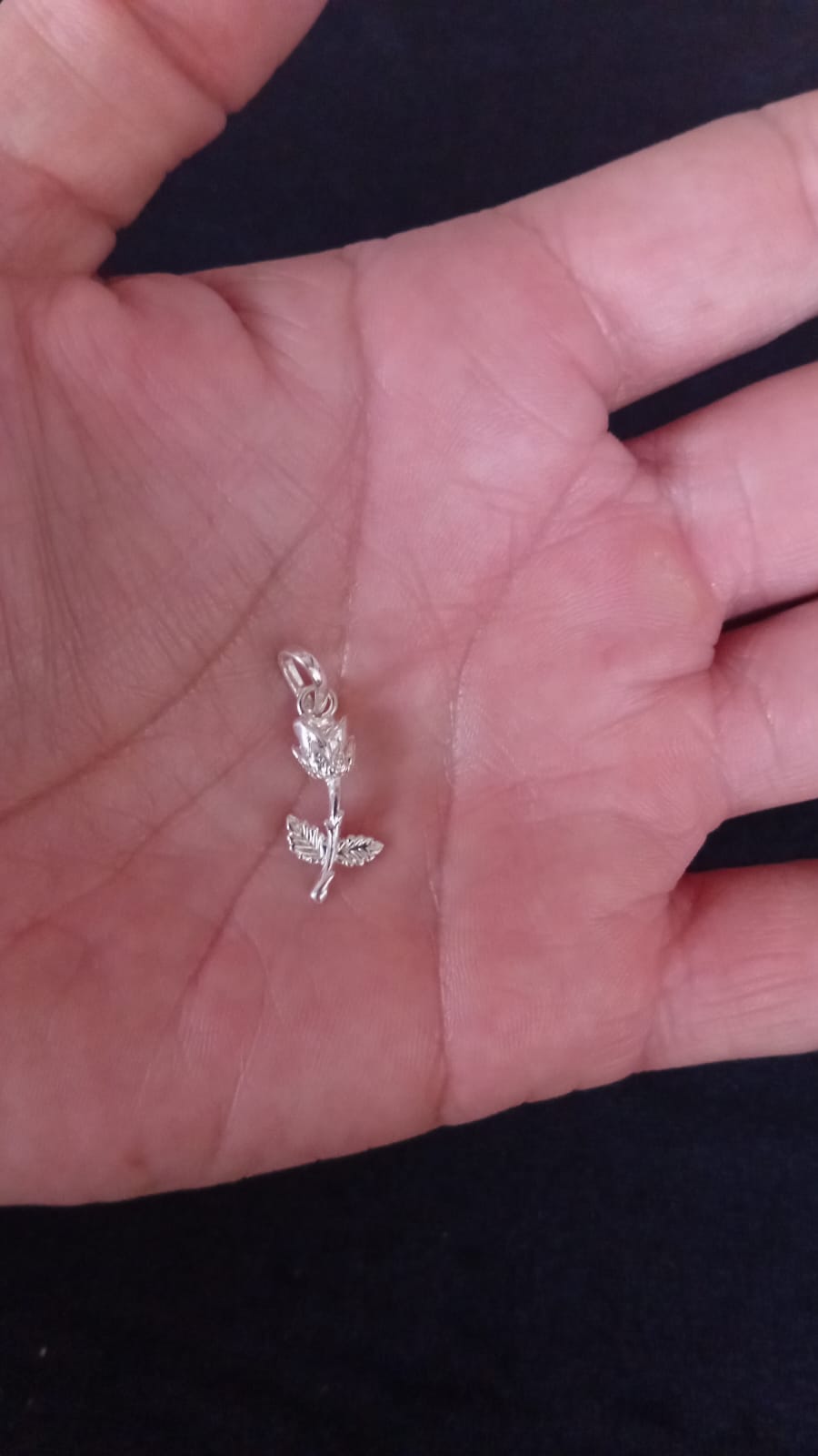 Dije solo plata .925