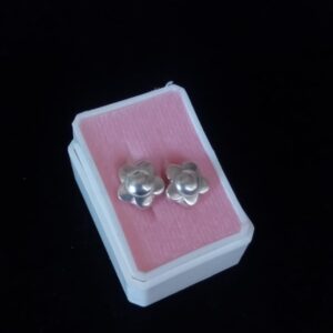 Arracada huggis plata .925