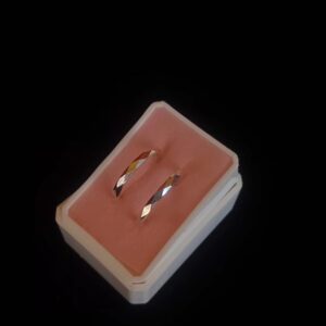 Arracada gruesa plata .925