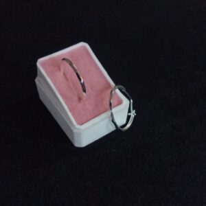 Arracada gruesa plata .925