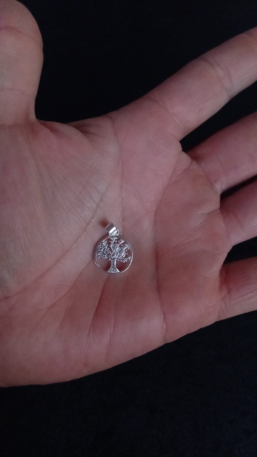Dije solo plata .925