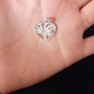 Dije solo plata .925