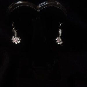 Arete largo plata .925