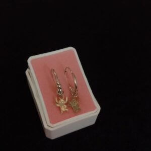Arracada gruesa plata .925