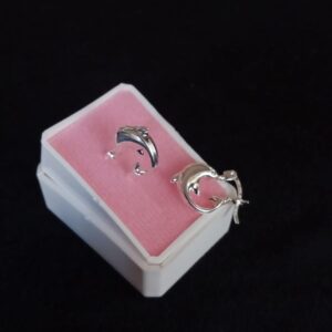 Arracada gruesa plata .925