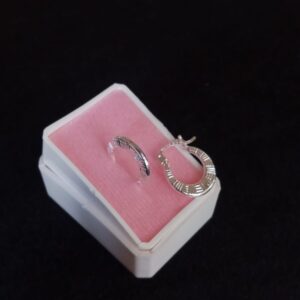 Arracada gruesa plata .925