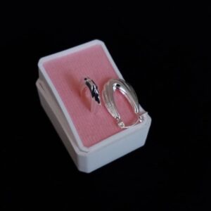 Arracada gruesa plata .925