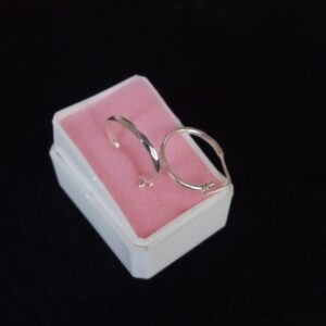 Arracada gruesa plata .925